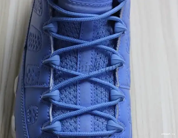 Authentic Low Jordan 9 Pantone Air 0502